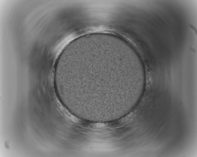 X0000103941463200810031311