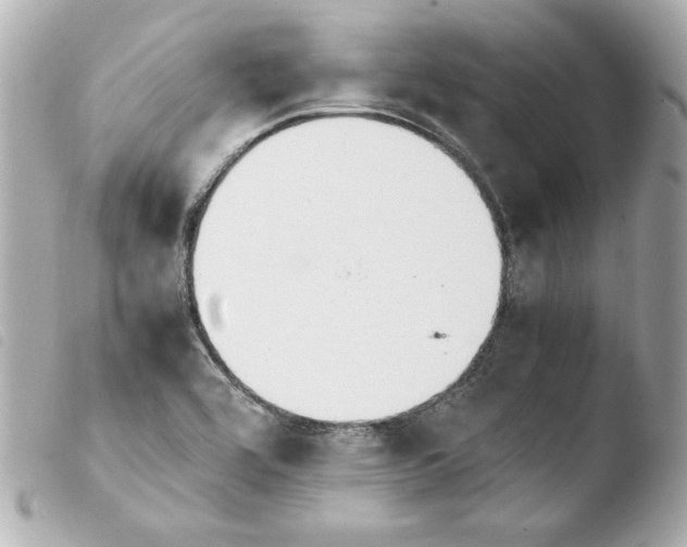 X0000103941464200810031311