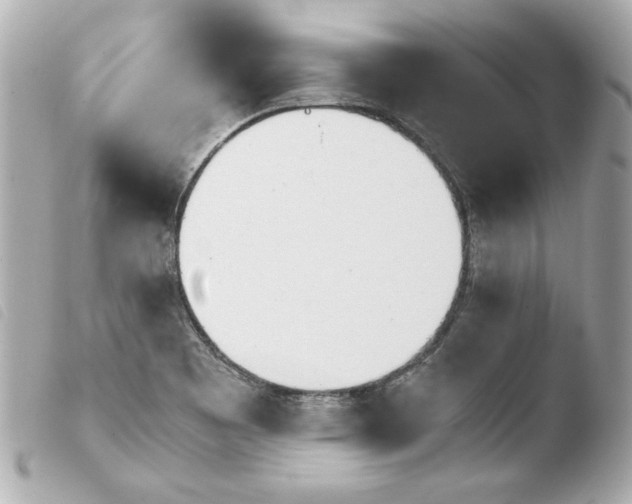 X0000103941465200810031311