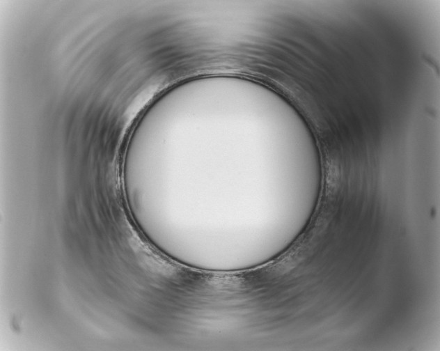 X0000103941466200810031311