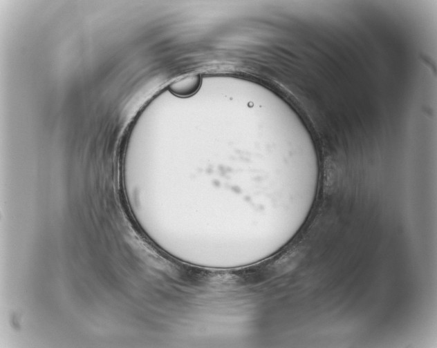 X0000103941467200810031311