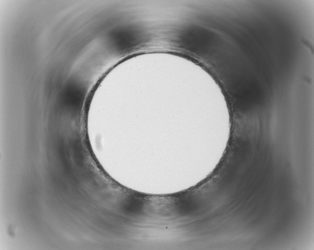 X0000103941469200810031311