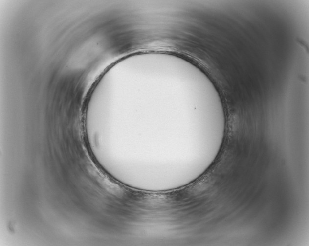 X0000103941470200810031311