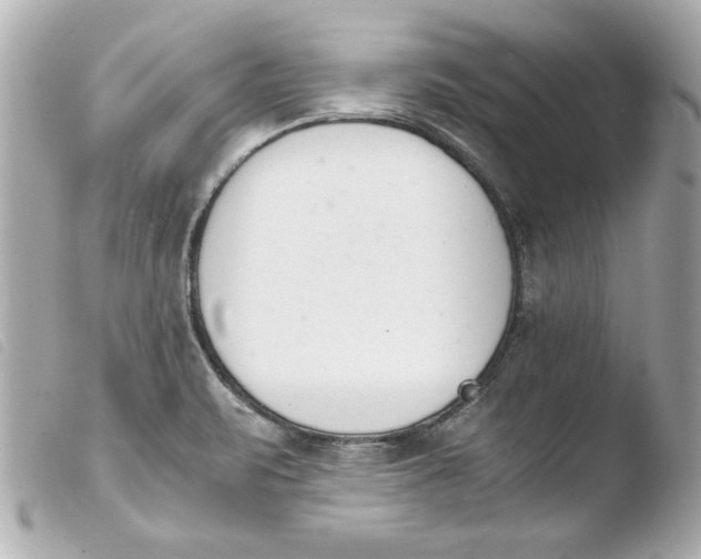 X0000103941471200810031311