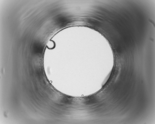 X0000103941473200810031311