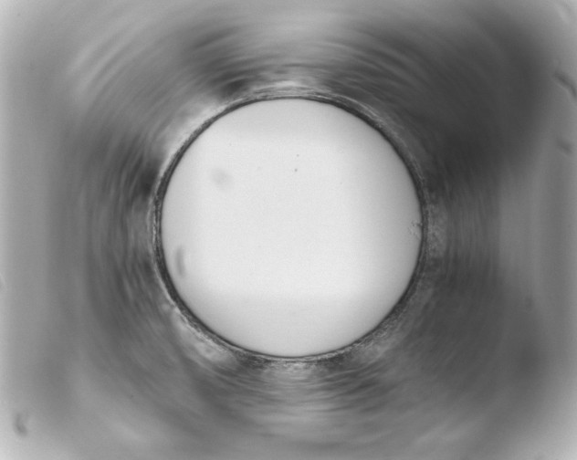 X0000103941474200810031311