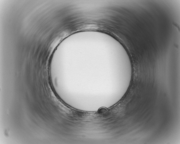 X0000103941475200810031311