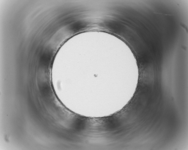 X0000103941476200810031311