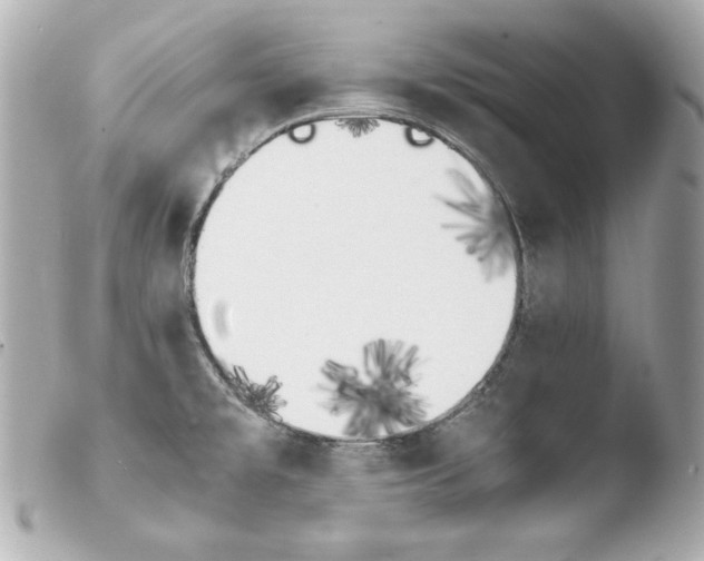 X0000103941477200810031311