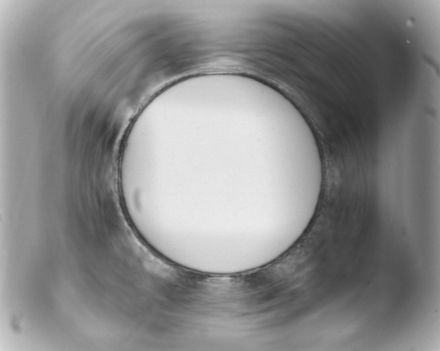 X0000103941478200810031311