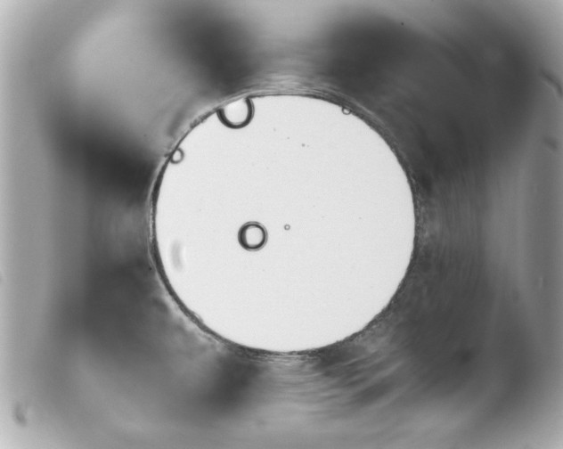 X0000103941479200810031311