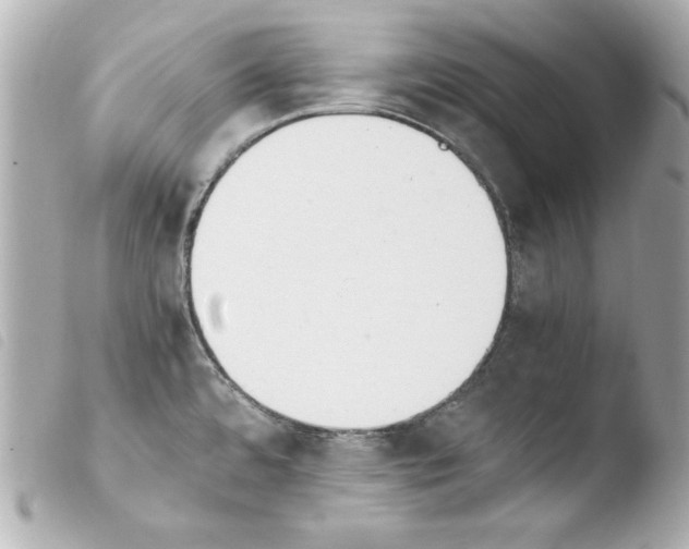 X0000103941480200810031311