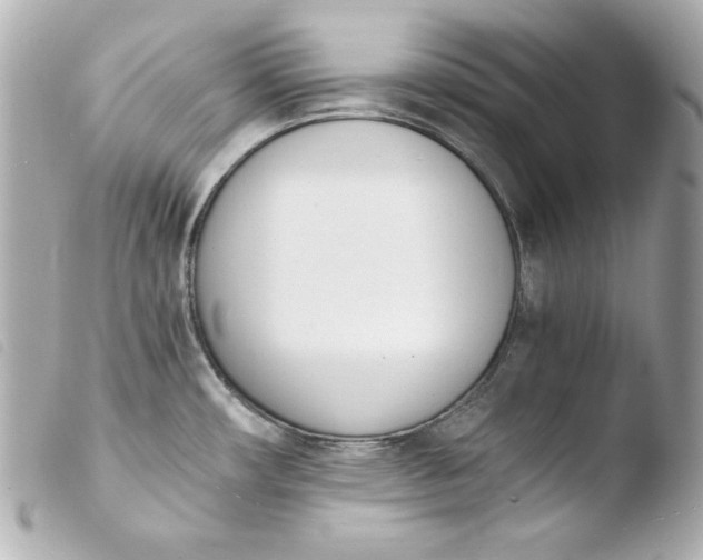 X0000103941482200810031311