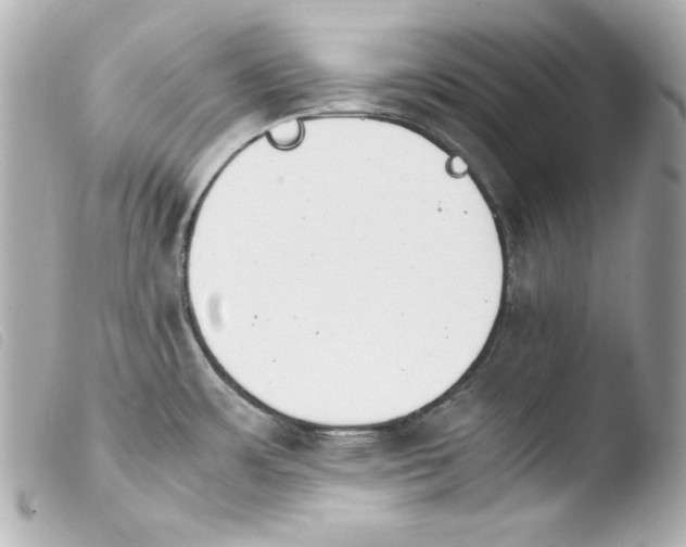 X0000103941483200810031311