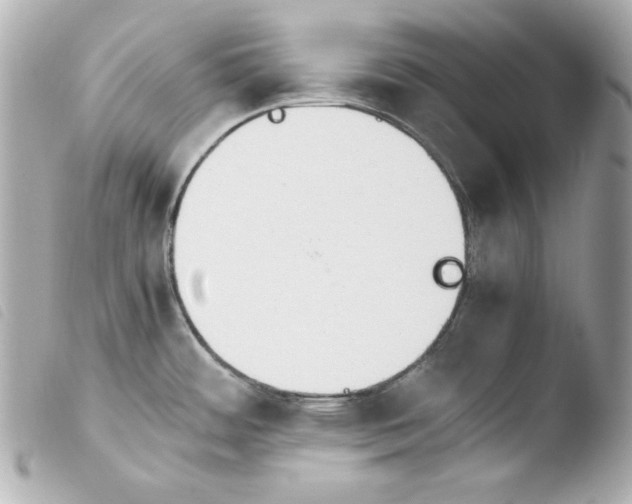 X0000103941484200810031311