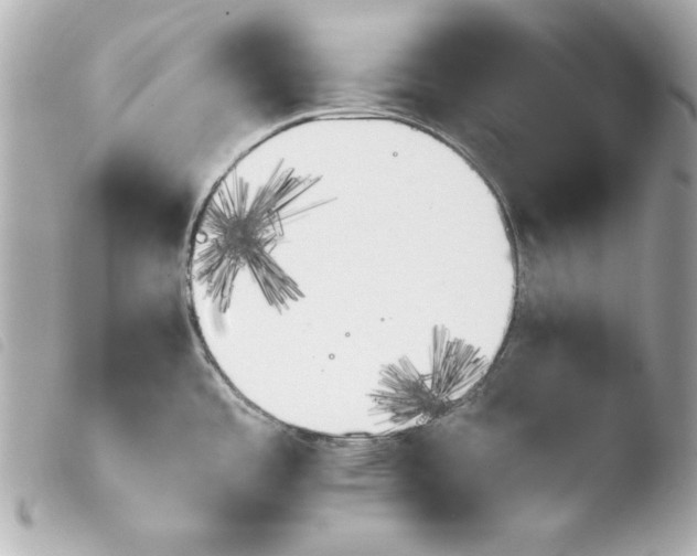 X0000103941485200810031311