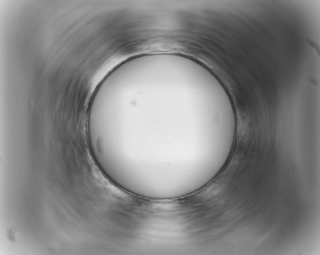 X0000103941486200810031311