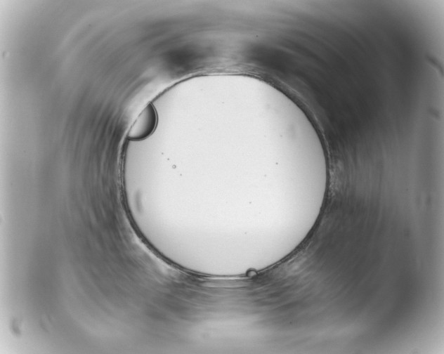 X0000103941487200810031311