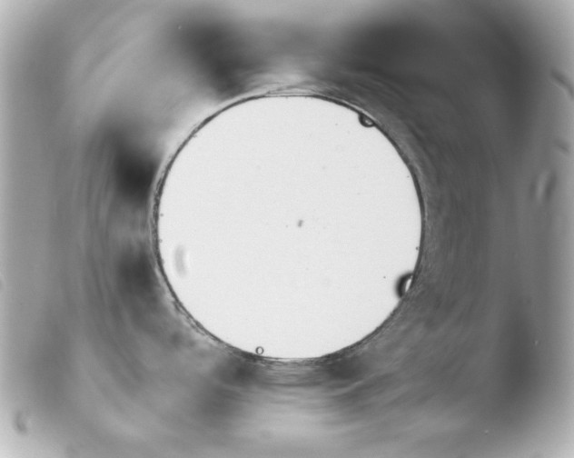 X0000103941488200810031311