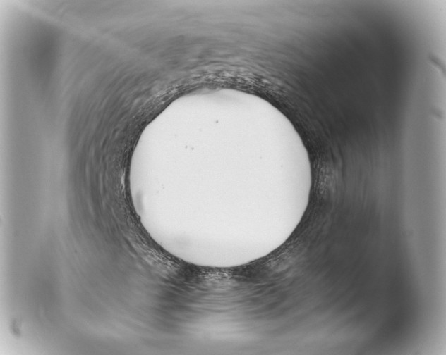 X0000103941489200810031310