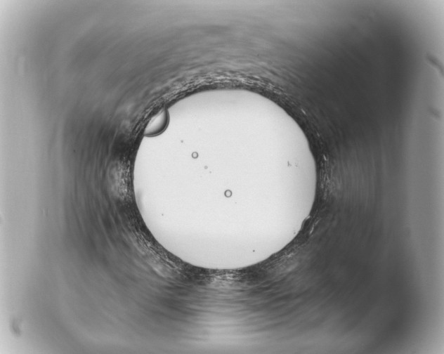 X0000103941490200810031310