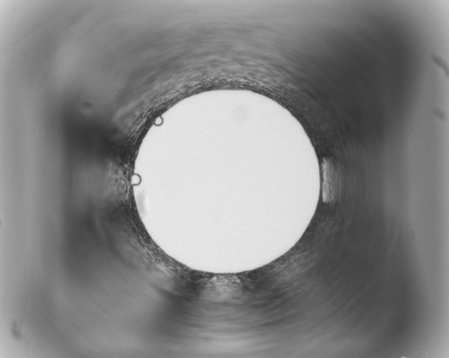 X0000103941491200810031310