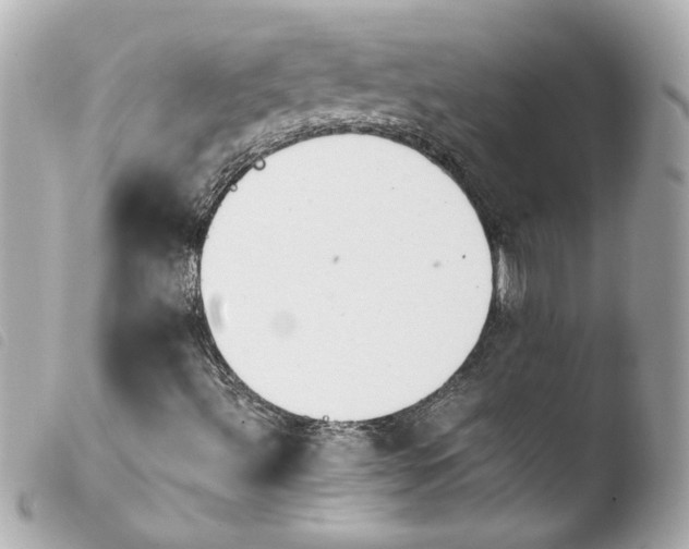 X0000103941492200810031310