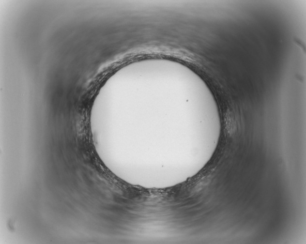 X0000103941494200810031310