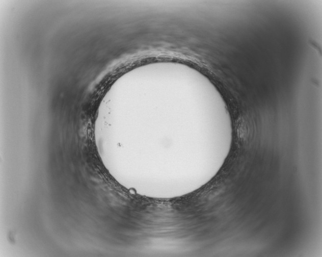 X0000103941495200810031310