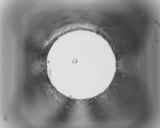 X0000103941496200810031310