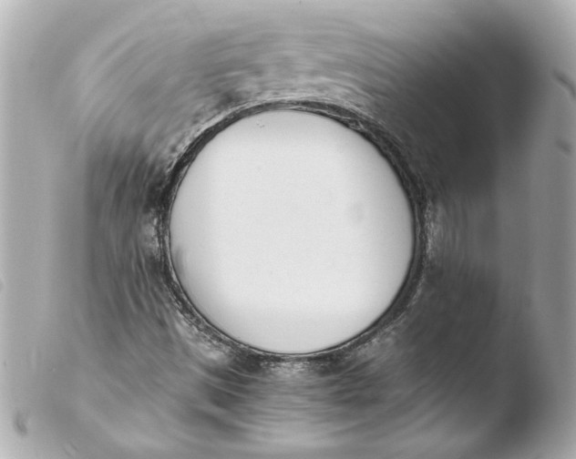 X0000103941497200810031310