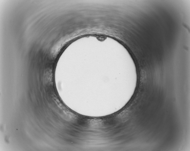 X0000103941499200810031310