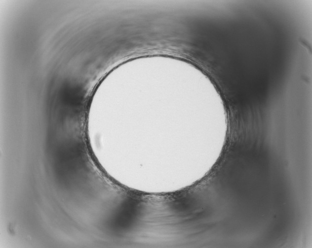 X0000103941500200810031310