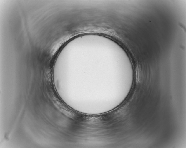 X0000103941501200810031310