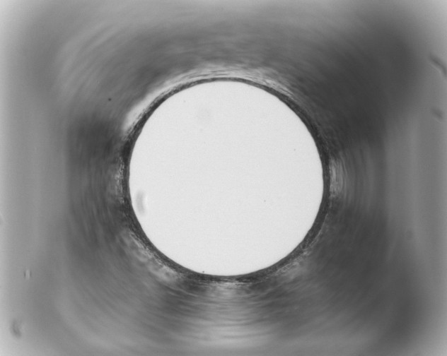 X0000103941502200810031310