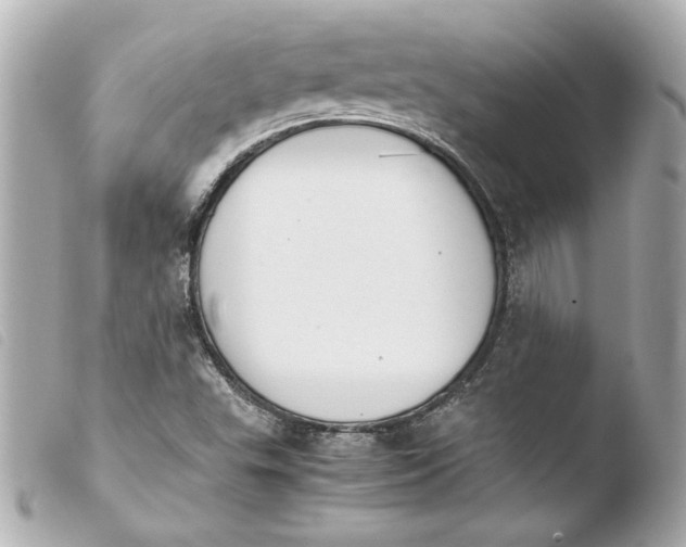 X0000103941503200810031310