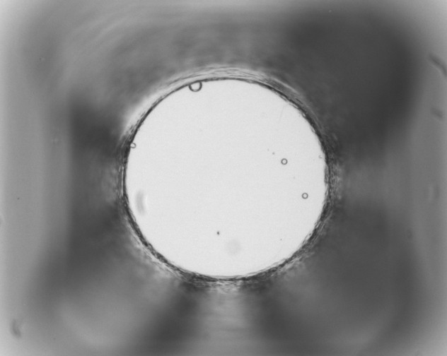 X0000103941504200810031310