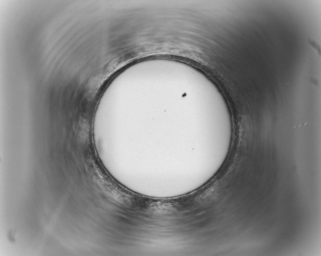 X0000103941505200810031310