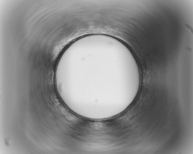 X0000103941507200810031310