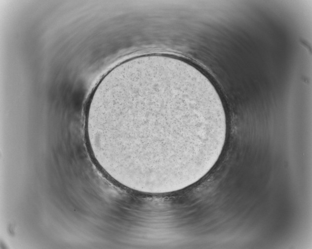 X0000103941508200810031310