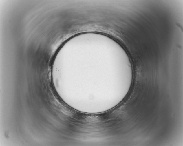 X0000103941509200810031310