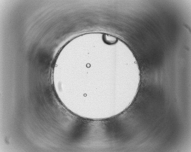 X0000103941510200810031310