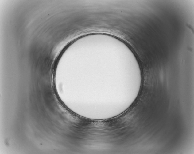 X0000103941511200810031310