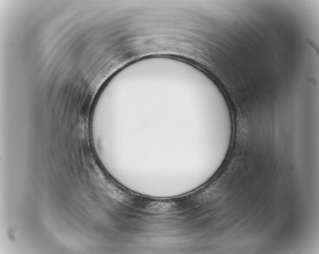 X0000103941513200810031310