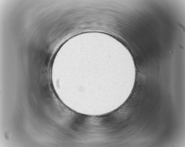 X0000103941514200810031310