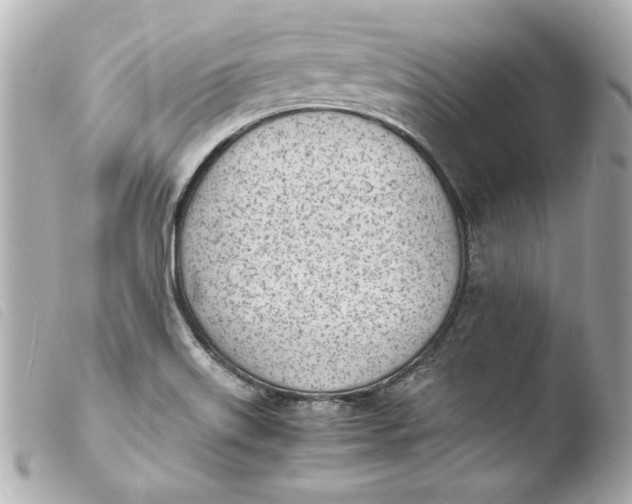 X0000103941515200810031310