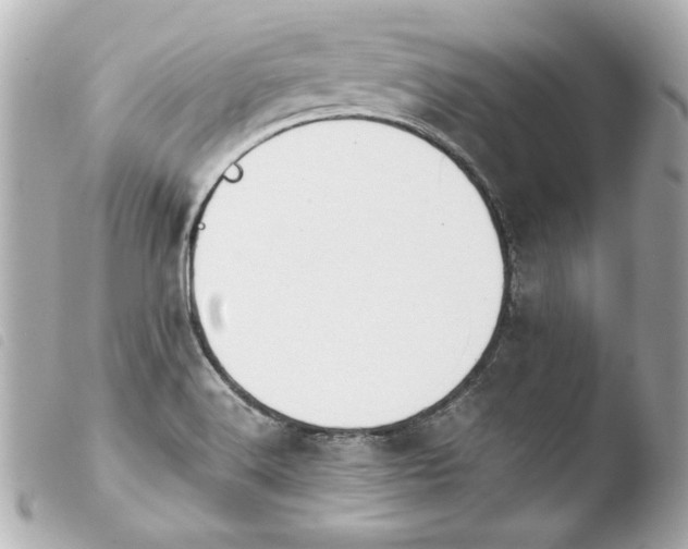 X0000103941516200810031310