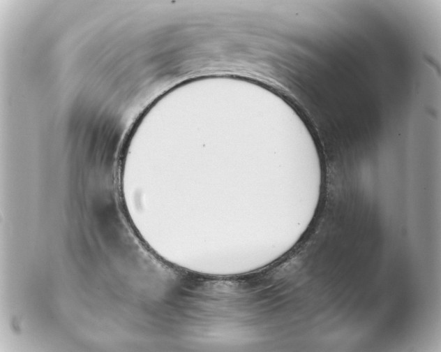 X0000103941517200810031310