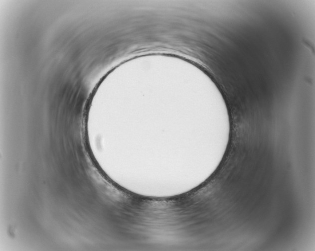 X0000103941518200810031310