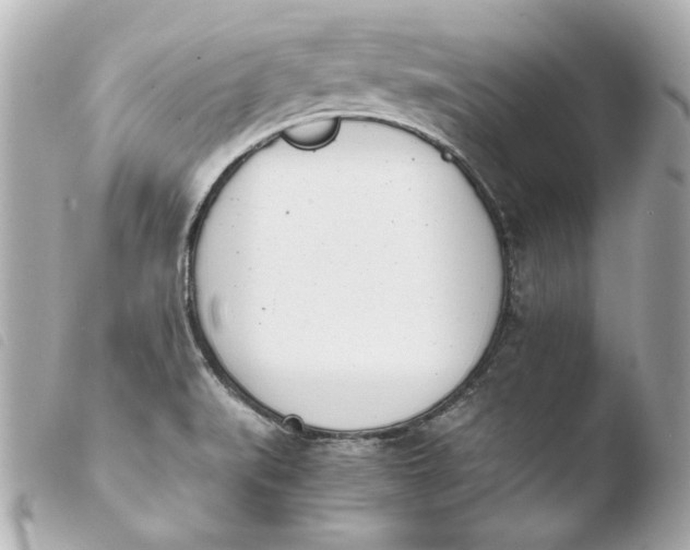 X0000103941519200810031310